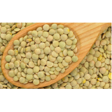 MİNİK YEŞİL MERCİMEK